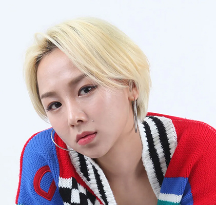 가수