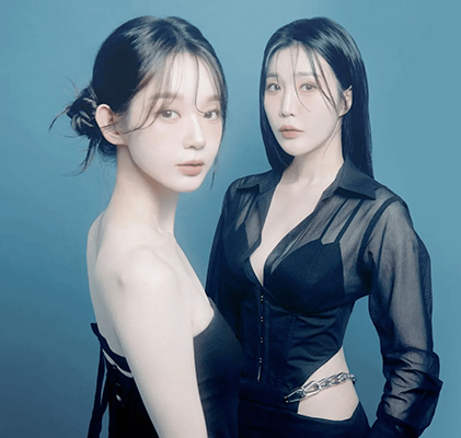 가수