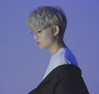 가수