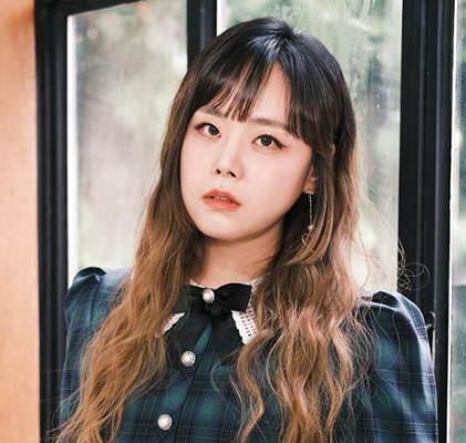 가수