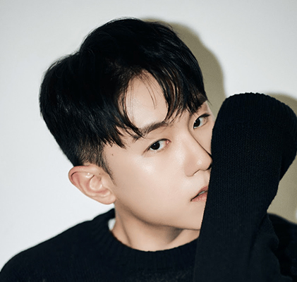 가수