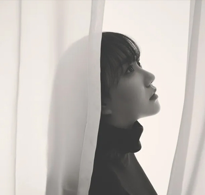 가수