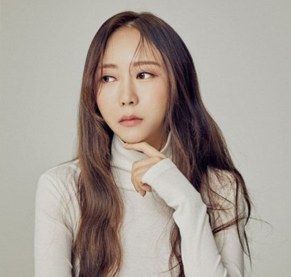 가수