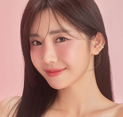 가수